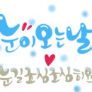 핌플라워 이미지