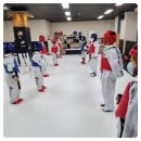 용인대 지성 태권도장 네이버블로그