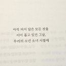 꽃소년 이미지