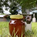 양구벌꿀 이미지