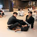 🥋 인천 동춘 주짓수 | 땀 흘리고 웃는 사람들 이야기 [본주짓수 동춘]