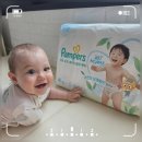 [Review] 얇고 시원한 여름기저귀 찾는다면? 팸퍼스 터치 오브 네이처 썸머팬티 후기