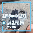 원덕 | 원덕누수탐지, 호산 시골 단독주택 누수현장 과연 보일러실일까요?