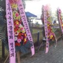 대한우드볼협회 이미지