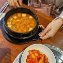 모드니불도야지