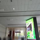 [2026 서울국제도서전 후기] 볼 게 많았지만 다리가 너무 아팠던ㅠㅠ 2026 서울국제도서전 3일차 후기