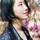 파란헤어잠실 이미지