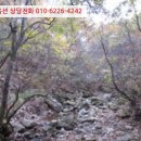 진부임업