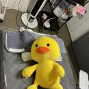 스킨누보세븐 | 군산 스킨누보세븐 내돈내산 왁싱!