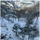 계곡힐링스카이 이미지