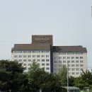 숙박대전할인! 온천수야외수영장 이천미란다호텔 주말 일반룸숙박후기