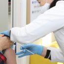 인제19-1 이미지