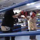 정우복싱클럽 이미지