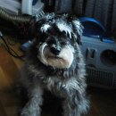 삼사슈퍼 이미지