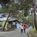 산막이옛길 주차장 이미지