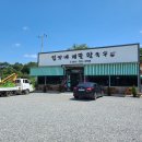 [충남/금산] 길가네메밀막국수, 현지인 추천 맛집