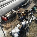 김동철농장 이미지