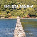 오조리마을회관 | 제주 동쪽 가볼만한곳 오조포구｜주차 돌담 포토존 촬영지 후기