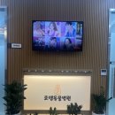 로뎀동물병원 이미지