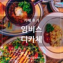 임비스디카체 이미지
