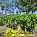 구암동460 이미지