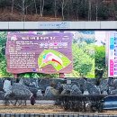 화랑유원지 제2주차장 이미지