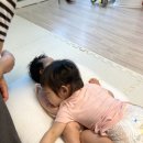 이니지아 이미지