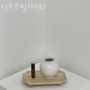 디오브필라테스
