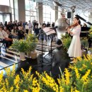 봄음악회 이미지