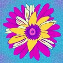 스파아로마 - 부산진구 | 스파아로마