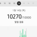 펠리세스 이미지
