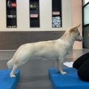 이씨네복덕방 이미지