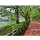 행복식품나라 | 스틸녹스 반알, 반알 복용 후기(+필독)