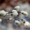 한화세탁 이미지