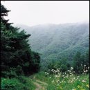이경자 - 포항시남구 | 이경자