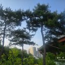 영흥 | 수원 영통 아이와 가볼 만한 곳 '영흥수목원' 온실, 산책로, 체험 프로그램 솔직 후기