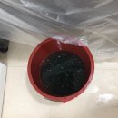 연세김치과 이미지