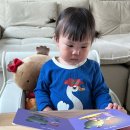 코알라어린이집 | 22개월아기 생활동화 유아책전집 추천 그레이트북스 베베코알라