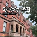 이코노미호스텔 | 하이뉴욕호스텔 뉴욕 혼자 여행 가성비 숙소 후기