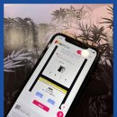 계정 | 인스타 계정 키우기 셀프 시도 활성화 후기