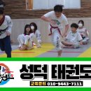 성덕태권도 이미지