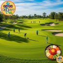 곡성읍 교촌리 마을회관 | 곡성군 파크골프장 이용 정보 및 인근 현지인 맛집