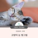 청학동물병원 이미지