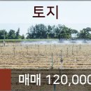 연원푸른의원 네이버블로그