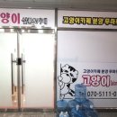고양이살롱앤카페