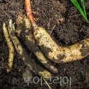 태백언어치료센터