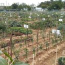 매호농장 이미지