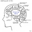 동이루