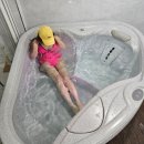 보보애견풀빌라 | 가평 애견펜션 강아지 동반 스파 수영장 보보 애견 풀빌라