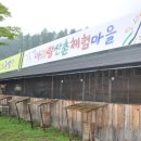아리랑 산촌식당